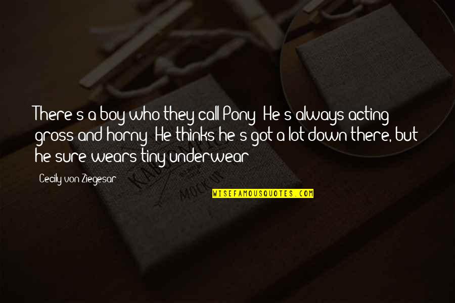 Shoorveer Full Quotes By Cecily Von Ziegesar: There's a boy who they call Pony! He's