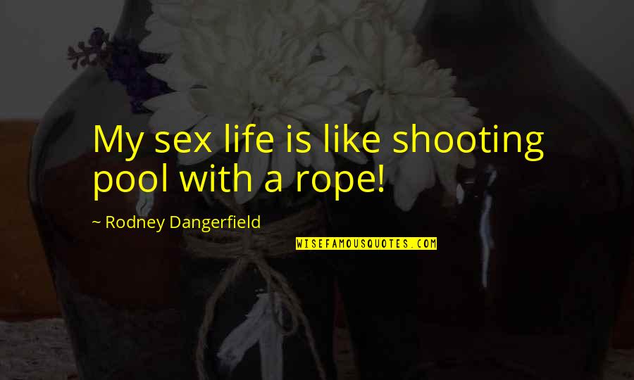 Shooting Pool Quotes By Rodney Dangerfield: My sex life is like shooting pool with
