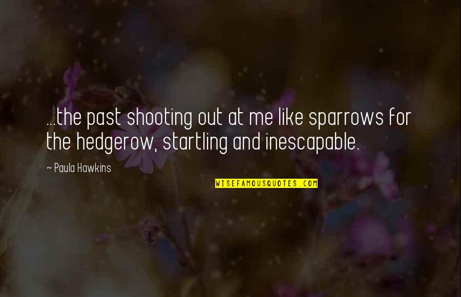 Shooting Quotes By Paula Hawkins: ...the past shooting out at me like sparrows