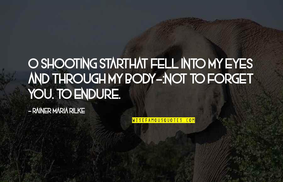 Shooting Star Quotes By Rainer Maria Rilke: O shooting starthat fell into my eyes and