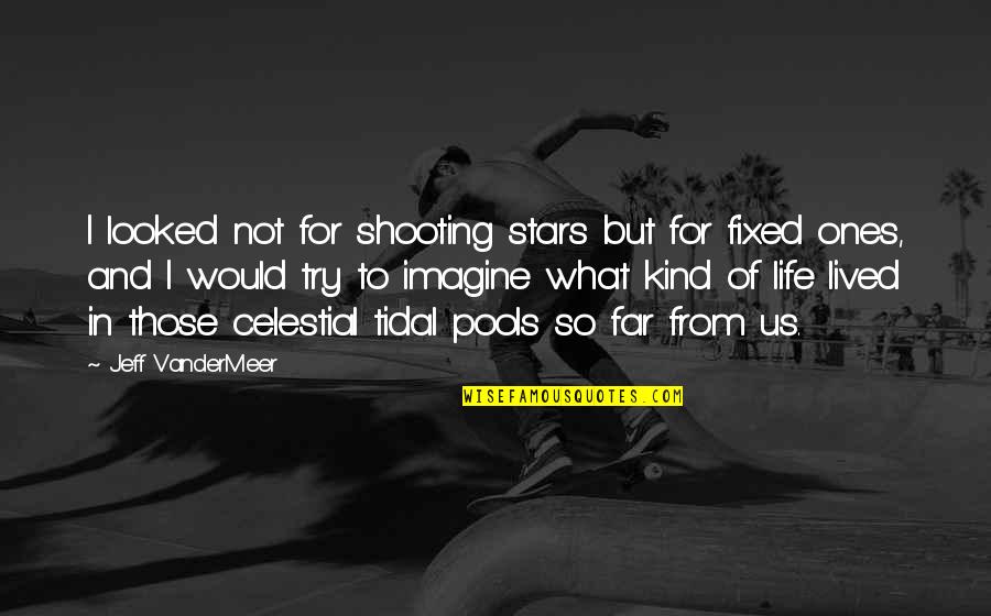Shooting Stars Quotes By Jeff VanderMeer: I looked not for shooting stars but for