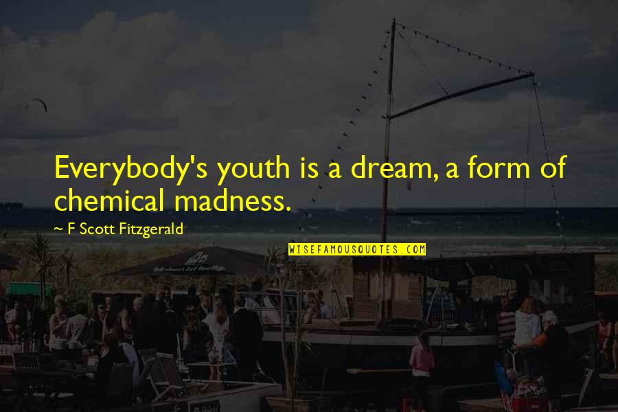 Shoplifting From American Apparel Quotes By F Scott Fitzgerald: Everybody's youth is a dream, a form of