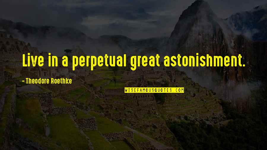 Shopping Funny Quotes By Theodore Roethke: Live in a perpetual great astonishment. Shopping Funny Quotes By Theodore Roethke: Live in a perpetual great astonishment.