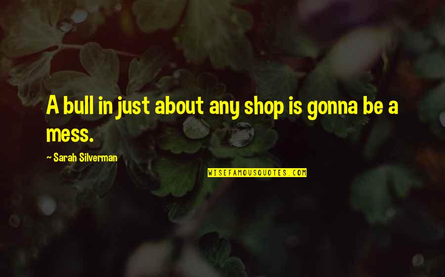 Shops Quotes By Sarah Silverman: A bull in just about any shop is