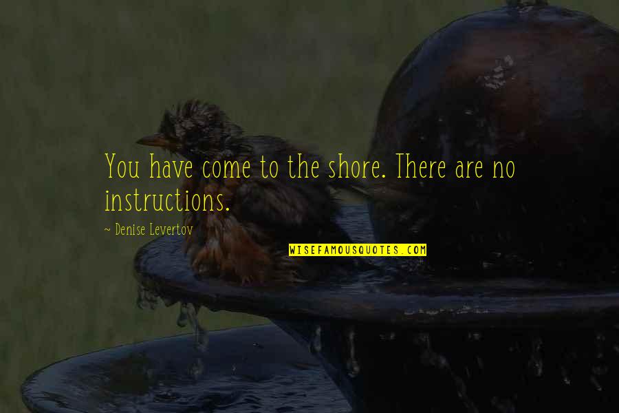 Shore Quotes By Denise Levertov: You have come to the shore. There are