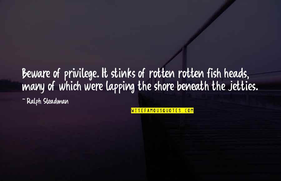 Shore Up Quotes By Ralph Steadman: Beware of privilege. It stinks of rotten rotten