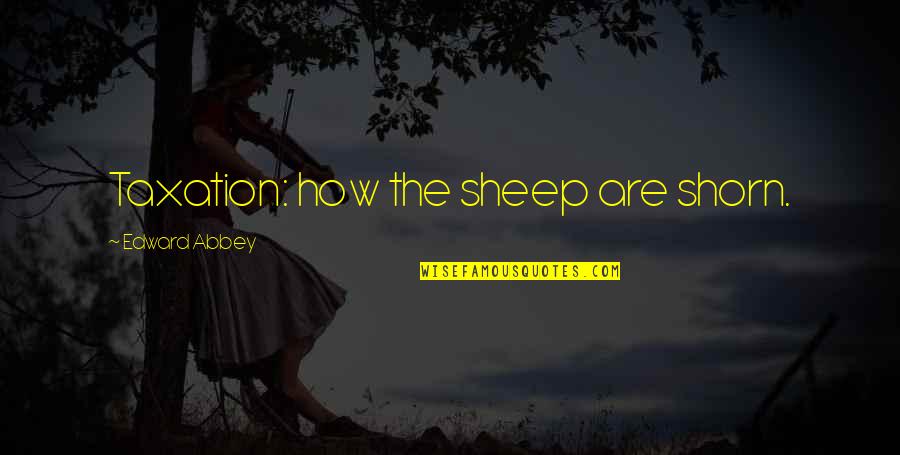 Shorn Quotes By Edward Abbey: Taxation: how the sheep are shorn. Shorn Quotes By Edward Abbey: Taxation: how the sheep are shorn.