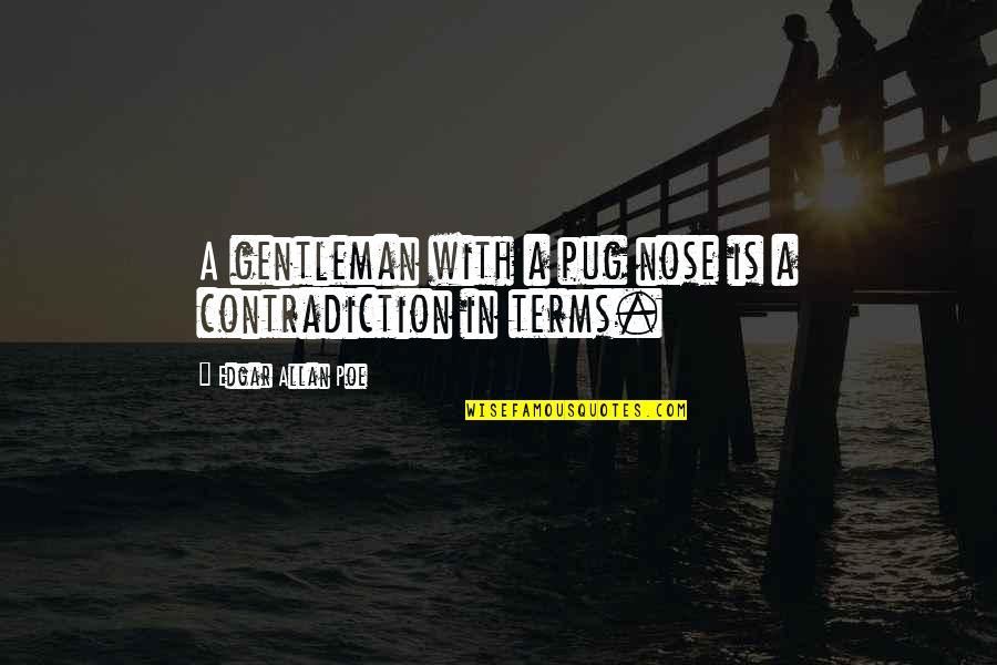 Short 1 Year Anniversary Quotes By Edgar Allan Poe: A gentleman with a pug nose is a Short 1 Year Anniversary Quotes By Edgar Allan Poe: A gentleman with a pug nose is a