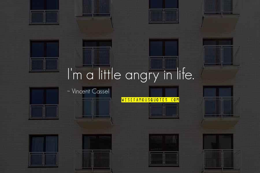 Short Affirmations Quotes By Vincent Cassel: I'm a little angry in life. Short Affirmations Quotes By Vincent Cassel: I'm a little angry in life.