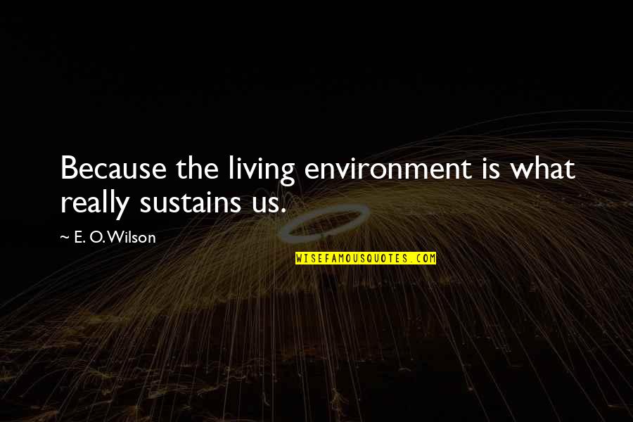 Short Biochemistry Quotes By E. O. Wilson: Because the living environment is what really sustains Short Biochemistry Quotes By E. O. Wilson: Because the living environment is what really sustains