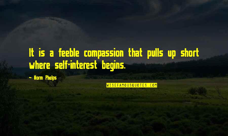 Short Buddhist Quotes By Norm Phelps: It is a feeble compassion that pulls up