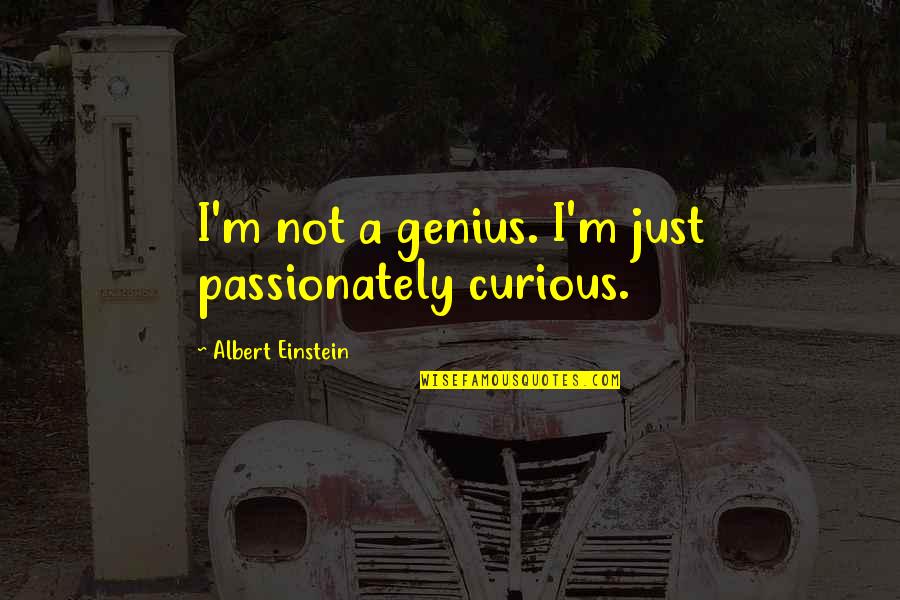 Short Cameras Quotes By Albert Einstein: I'm not a genius. I'm just passionately curious.