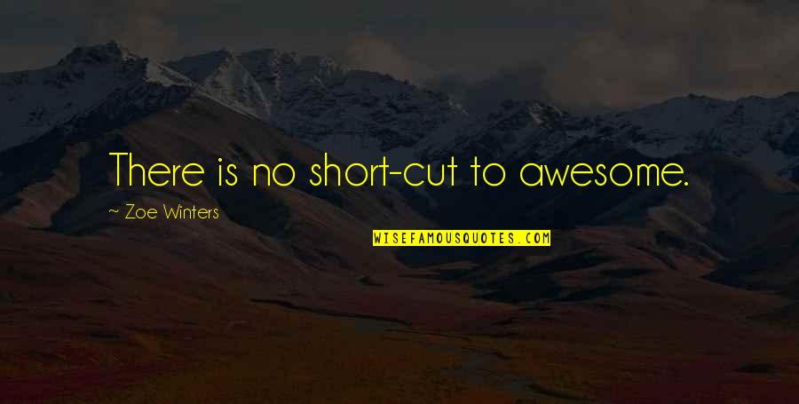 Short Cut Quotes By Zoe Winters: There is no short-cut to awesome. Short Cut Quotes By Zoe Winters: There is no short-cut to awesome.