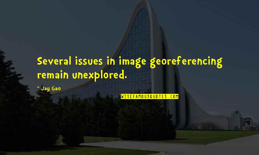 Short Dawg Quotes By Jay Gao: Several issues in image georeferencing remain unexplored.