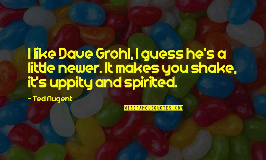Short Deep Sad Love Quotes By Ted Nugent: I like Dave Grohl, I guess he's a