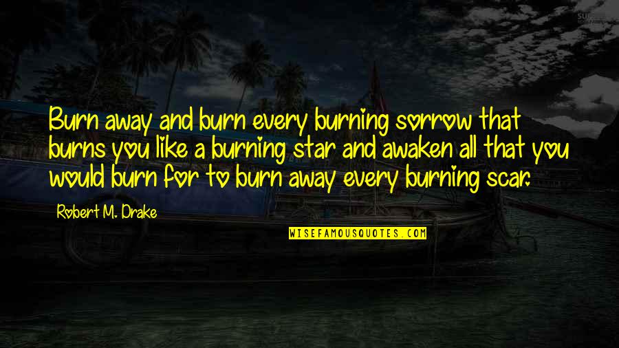 Short Down Syndrome Quotes By Robert M. Drake: Burn away and burn every burning sorrow that Short Down Syndrome Quotes By Robert M. Drake: Burn away and burn every burning sorrow that
