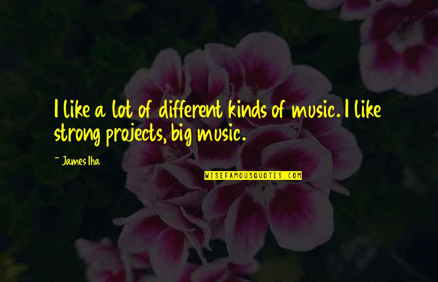 Short Drifting Quotes By James Iha: I like a lot of different kinds of
