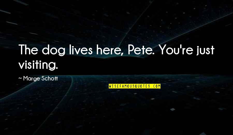 Short Drug Free Quotes By Marge Schott: The dog lives here, Pete. You're just visiting.