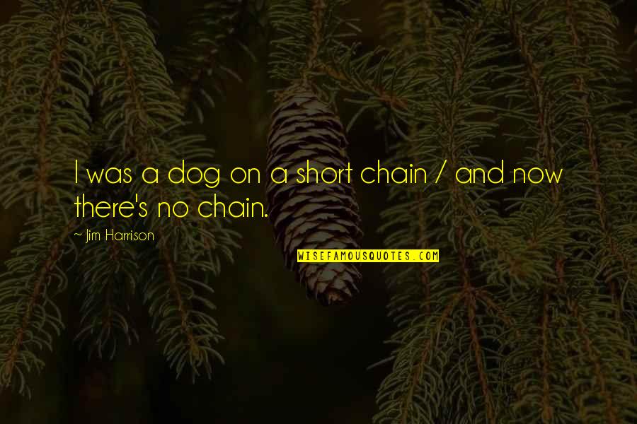 Short Freedom Quotes By Jim Harrison: I was a dog on a short chain