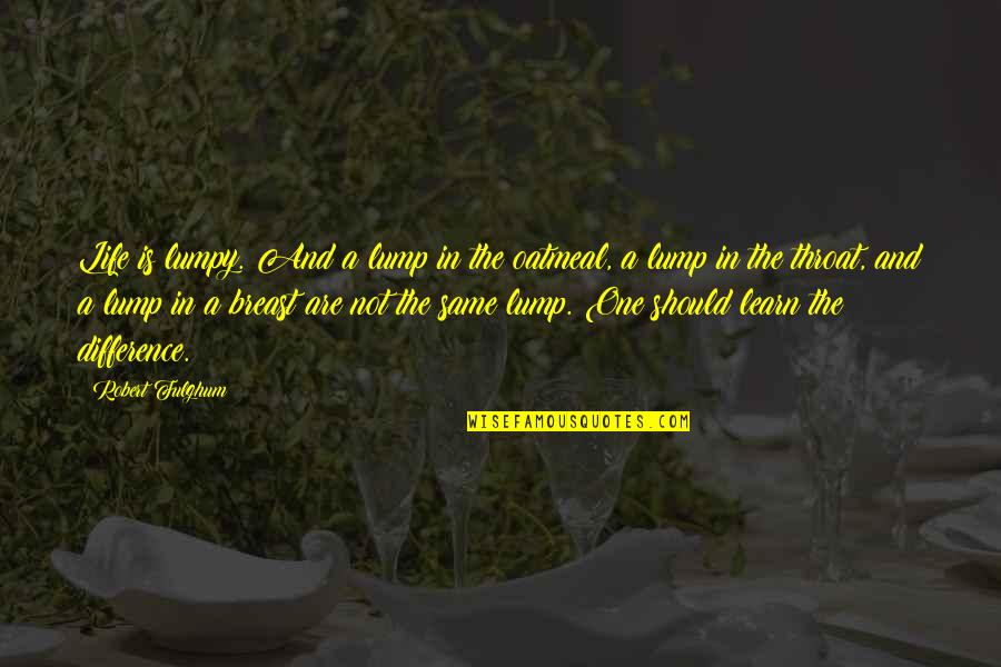 Short Funny Vine Quotes By Robert Fulghum: Life is lumpy. And a lump in the
