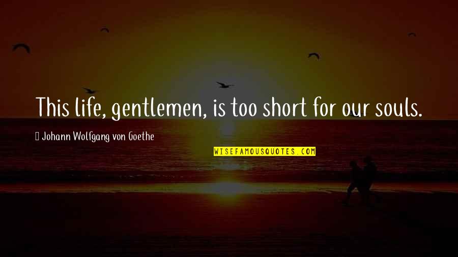 Short Goethe Quotes By Johann Wolfgang Von Goethe: This life, gentlemen, is too short for our