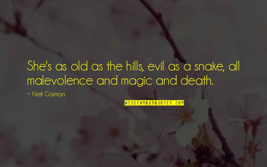 Short Hills Quotes By Neil Gaiman: She's as old as the hills, evil as