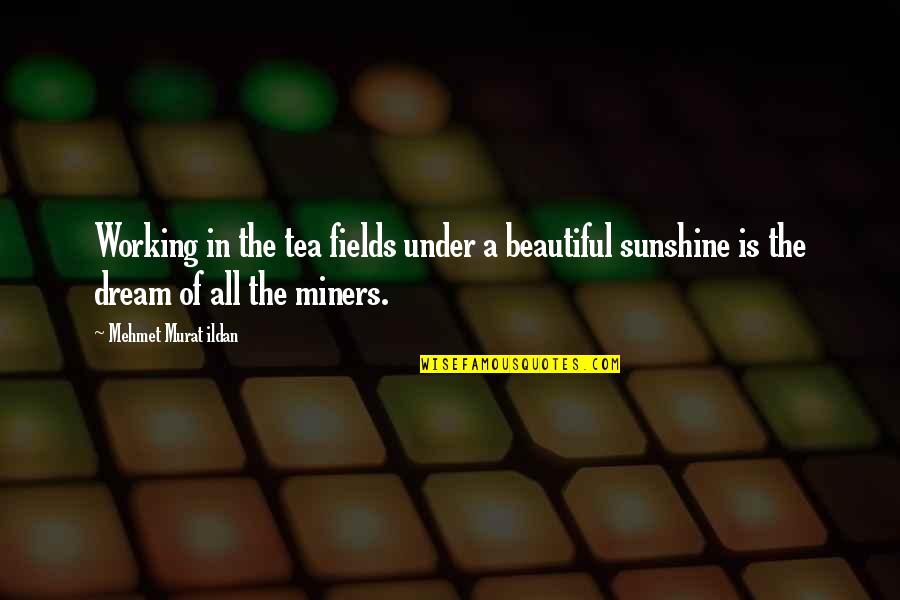 Short Impossible Love Quotes By Mehmet Murat Ildan: Working in the tea fields under a beautiful Short Impossible Love Quotes By Mehmet Murat Ildan: Working in the tea fields under a beautiful