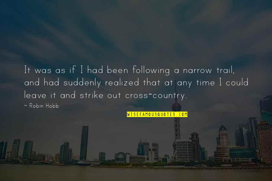 Short Innovation Quotes By Robin Hobb: It was as if I had been following