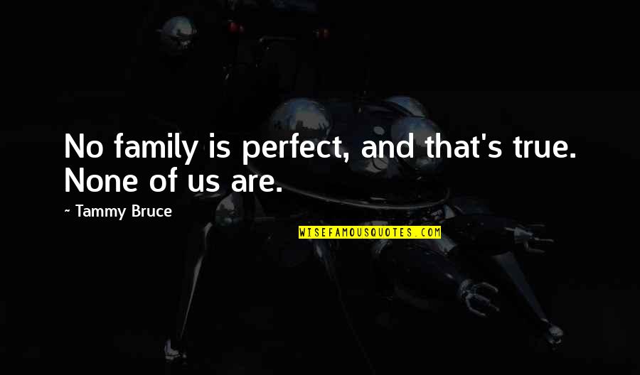 Short Inspirational Sailing Quotes By Tammy Bruce: No family is perfect, and that's true. None
