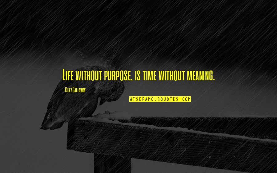 Short Intense Quotes By Kiley Callaway: Life without purpose, is time without meaning.