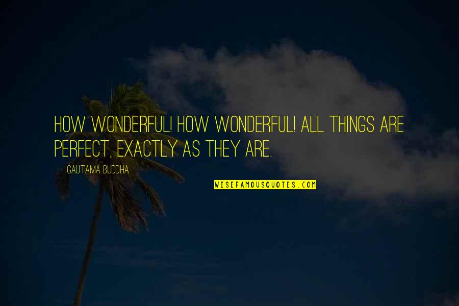 Short Juxtaposition Quotes By Gautama Buddha: How wonderful! How wonderful! All things are perfect,