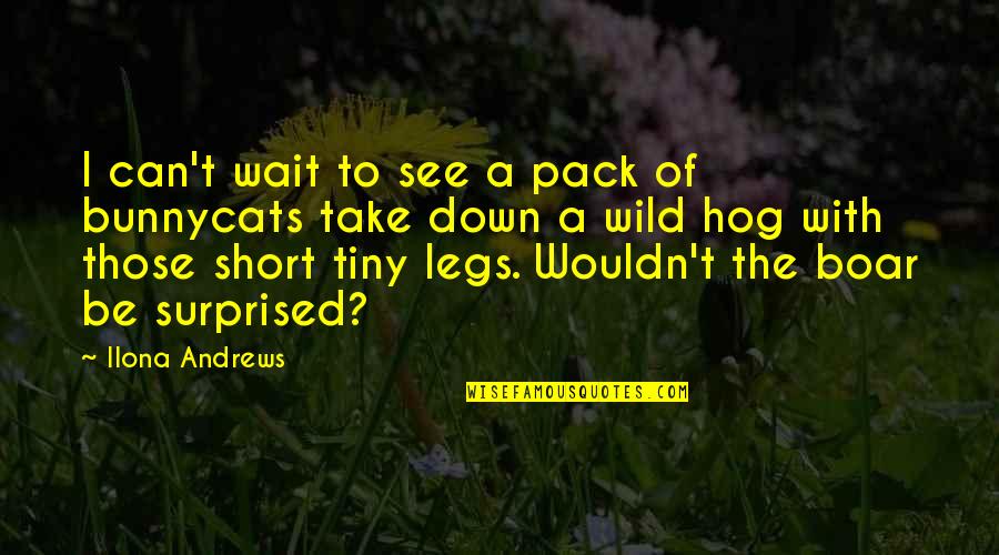 Short Legs Quotes By Ilona Andrews: I can't wait to see a pack of