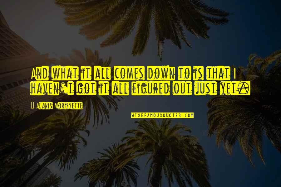 Short Life's Good Quotes By Alanis Morissette: And what it all comes down to is Short Life's Good Quotes By Alanis Morissette: And what it all comes down to is