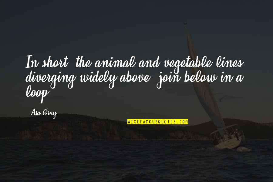 Short Lines Quotes By Asa Gray: In short, the animal and vegetable lines, diverging