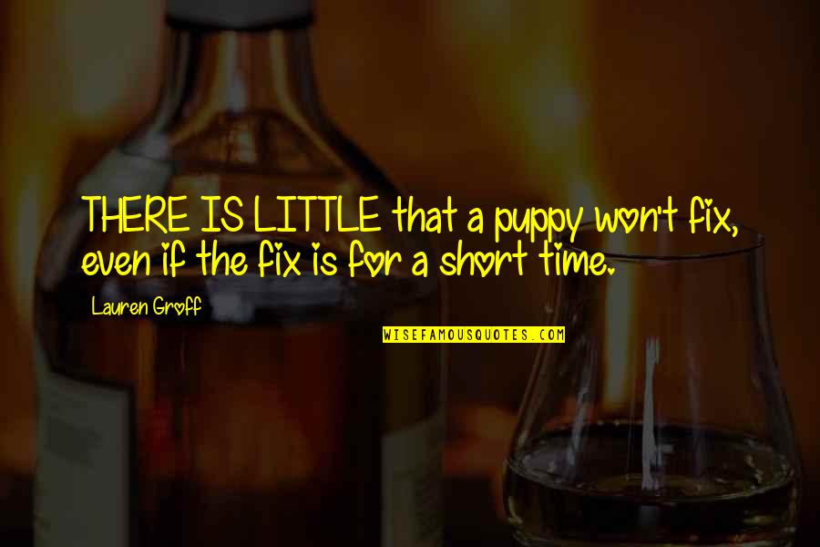 Short Little Quotes By Lauren Groff: THERE IS LITTLE that a puppy won't fix,