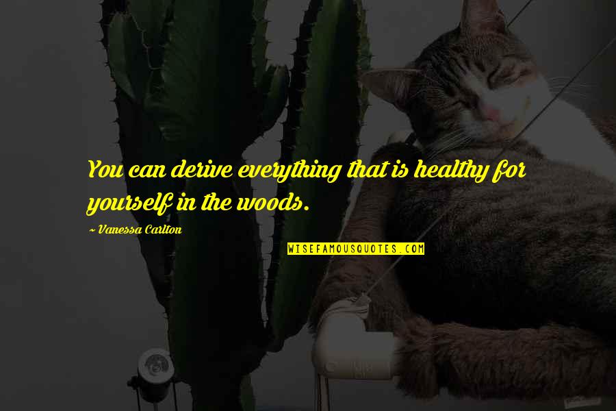 Short Lonesome Quotes By Vanessa Carlton: You can derive everything that is healthy for