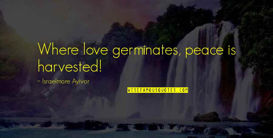 Short Love Quotes By Israelmore Ayivor: Where love germinates, peace is harvested!
