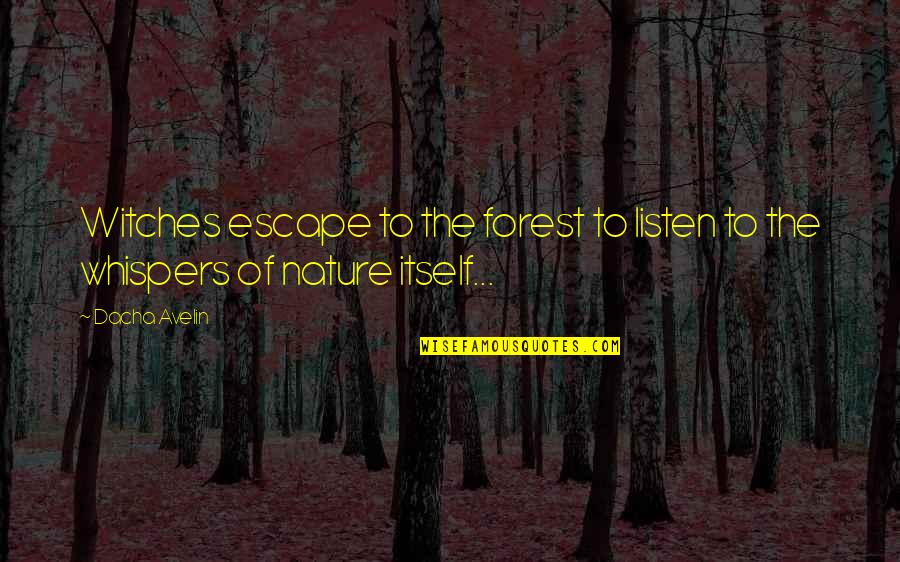 Short Macho Quotes By Dacha Avelin: Witches escape to the forest to listen to