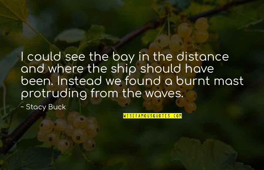 Short Medieval Quotes By Stacy Buck: I could see the bay in the distance