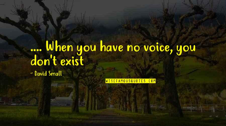 Short Never Forgotten Quotes By David Small: .... When you have no voice, you don't