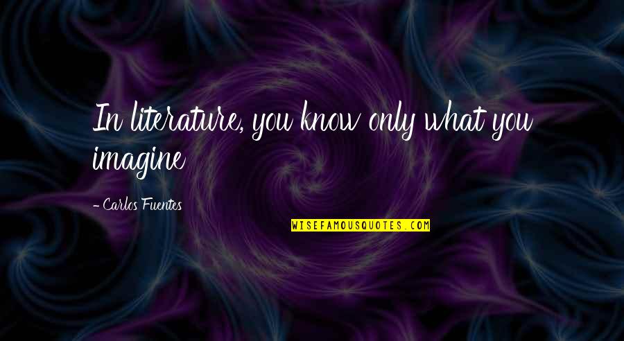 Short Obscene Quotes By Carlos Fuentes: In literature, you know only what you imagine Short Obscene Quotes By Carlos Fuentes: In literature, you know only what you imagine