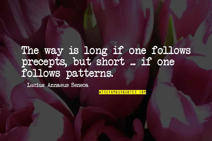 Short One Quotes By Lucius Annaeus Seneca: The way is long if one follows precepts,