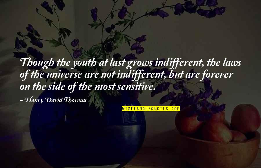 Short Over The Hill Quotes By Henry David Thoreau: Though the youth at last grows indifferent, the