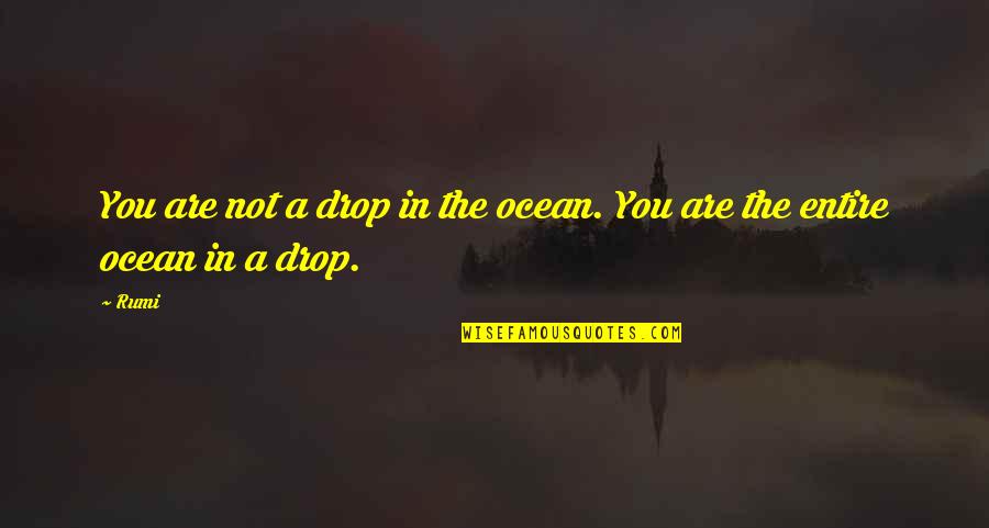 Short Puberty Quotes By Rumi: You are not a drop in the ocean.