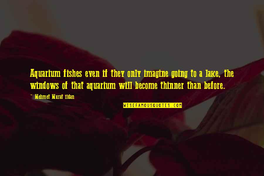 Short Rapping Quotes By Mehmet Murat Ildan: Aquarium fishes even if they only imagine going
