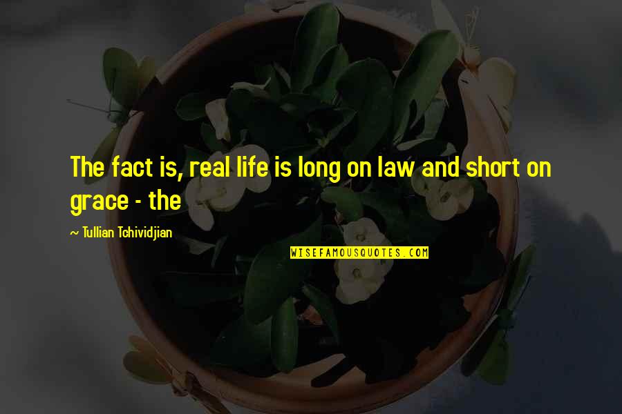 Short Real Life Quotes By Tullian Tchividjian: The fact is, real life is long on