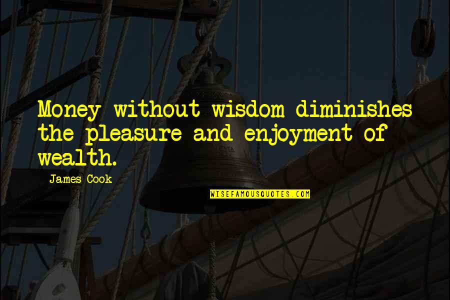 Short Relationships Quotes By James Cook: Money without wisdom diminishes the pleasure and enjoyment