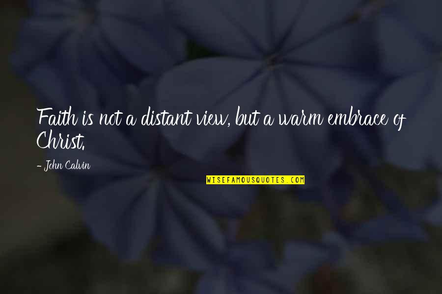 Short Skydiving Quotes By John Calvin: Faith is not a distant view, but a