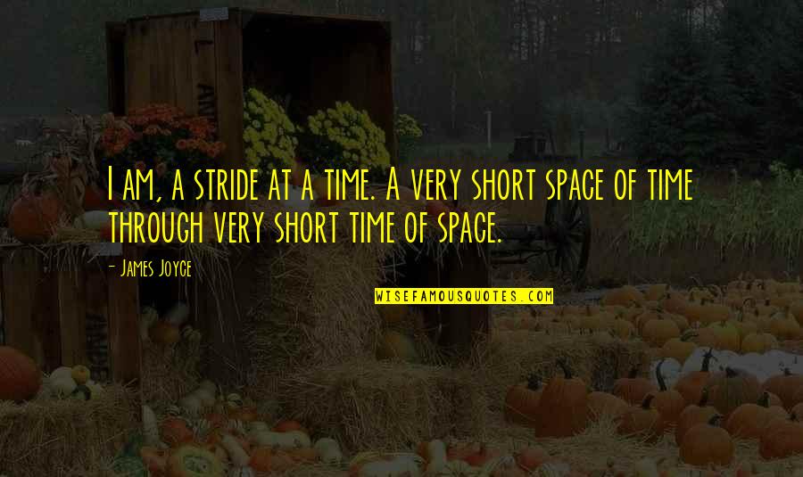 Short Space Quotes By James Joyce: I am, a stride at a time. A