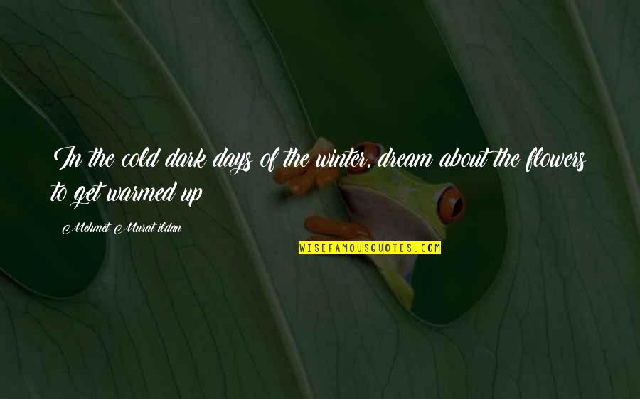 Short Taurus Quotes By Mehmet Murat Ildan: In the cold dark days of the winter, Short Taurus Quotes By Mehmet Murat Ildan: In the cold dark days of the winter,